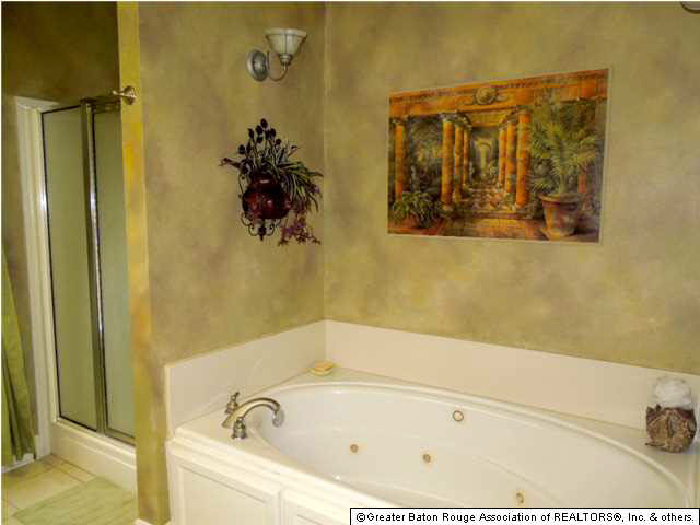 17210 Rue Village Prairieville, LA 70769 - Photo 10 of 13 Gallery Image 10