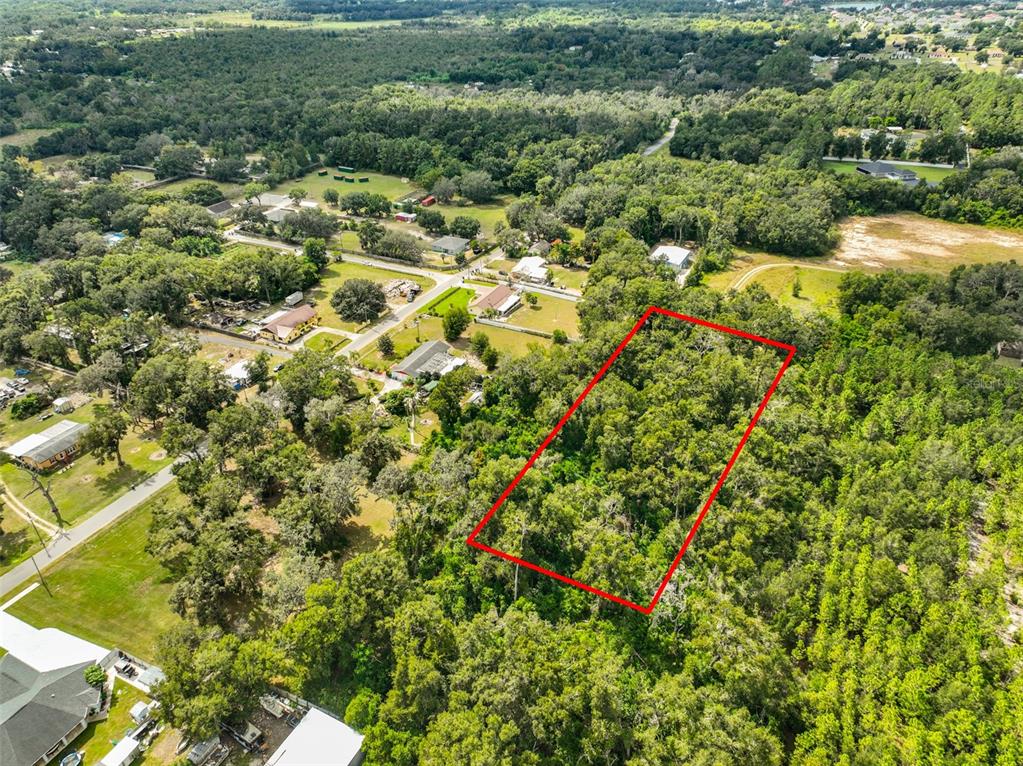 Stark Road Seffner, FL 33584 - Photo 7 of 19 Gallery Image 7
