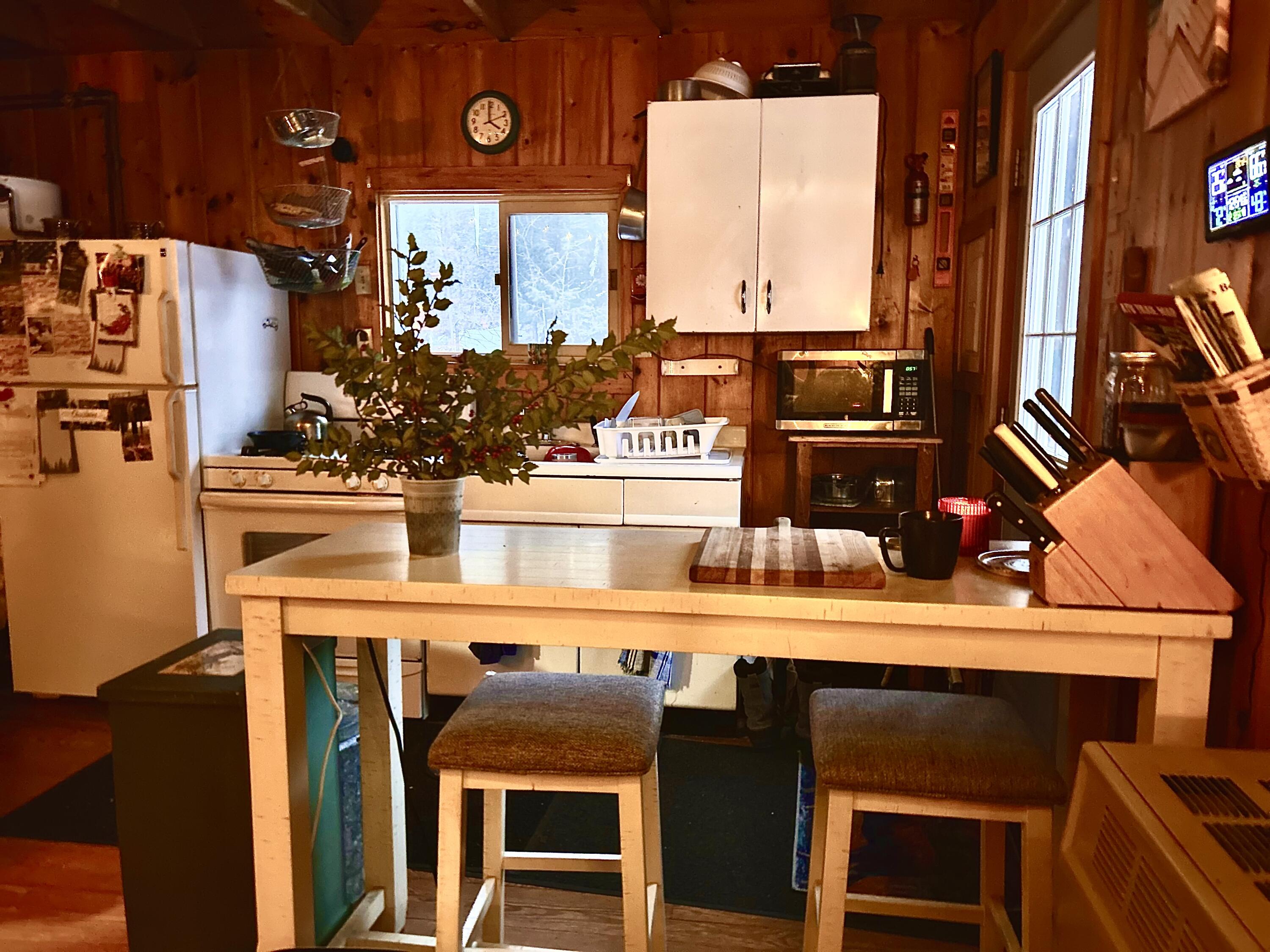 479 Rockwood Road Greenville Junction, ME 04442 - Photo 17 of 26 image0 (9)