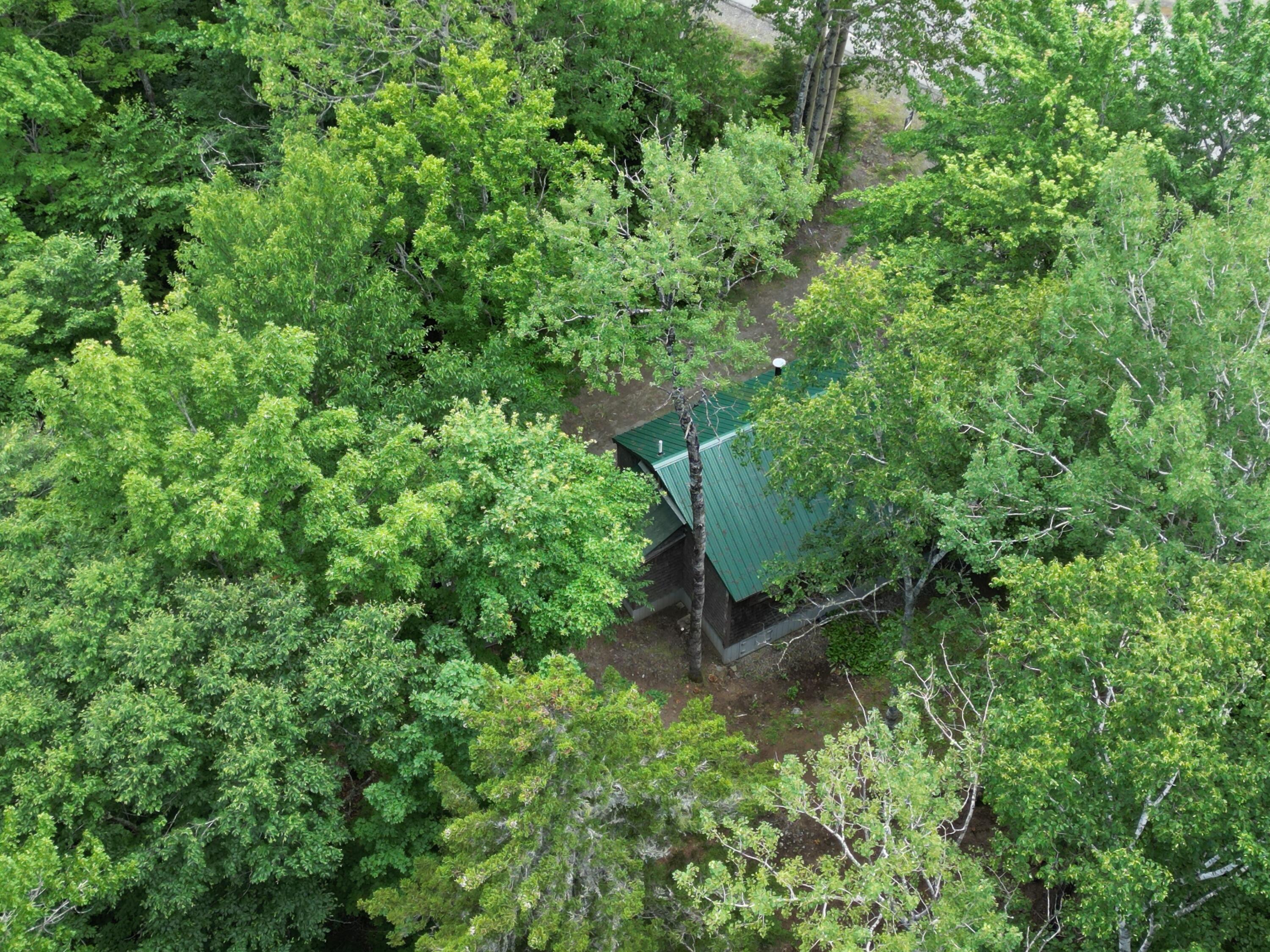 479 Rockwood Road Greenville Junction, ME 04442 - Photo 2 of 26 DJI_0455