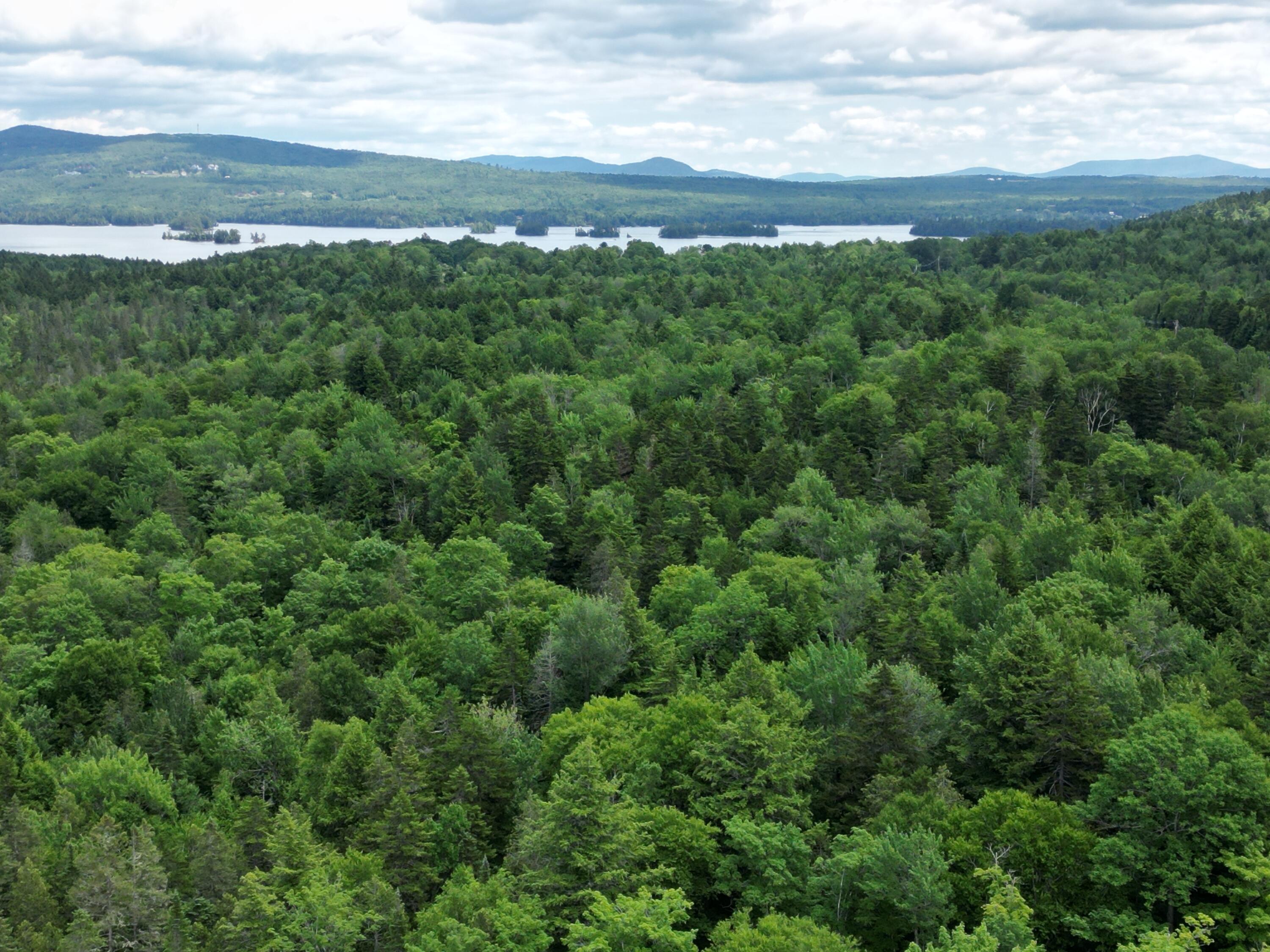 479 Rockwood Road Greenville Junction, ME 04442 - Photo 5 of 26 DJI_0456