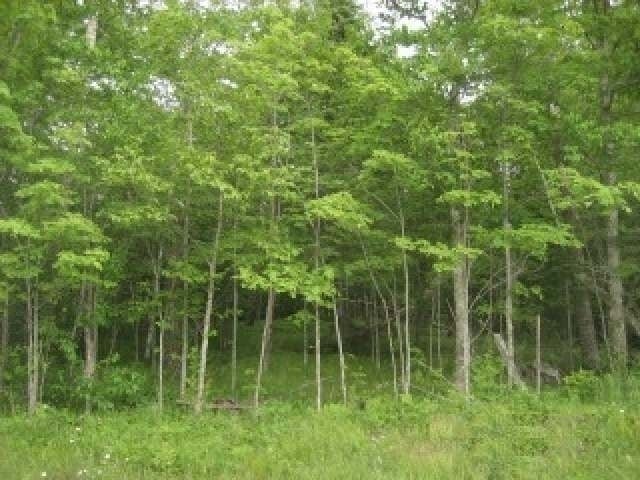 Lot 8 Weber Road Mercer, WI 54547 - Photo 4 of 12 Gallery Image 4