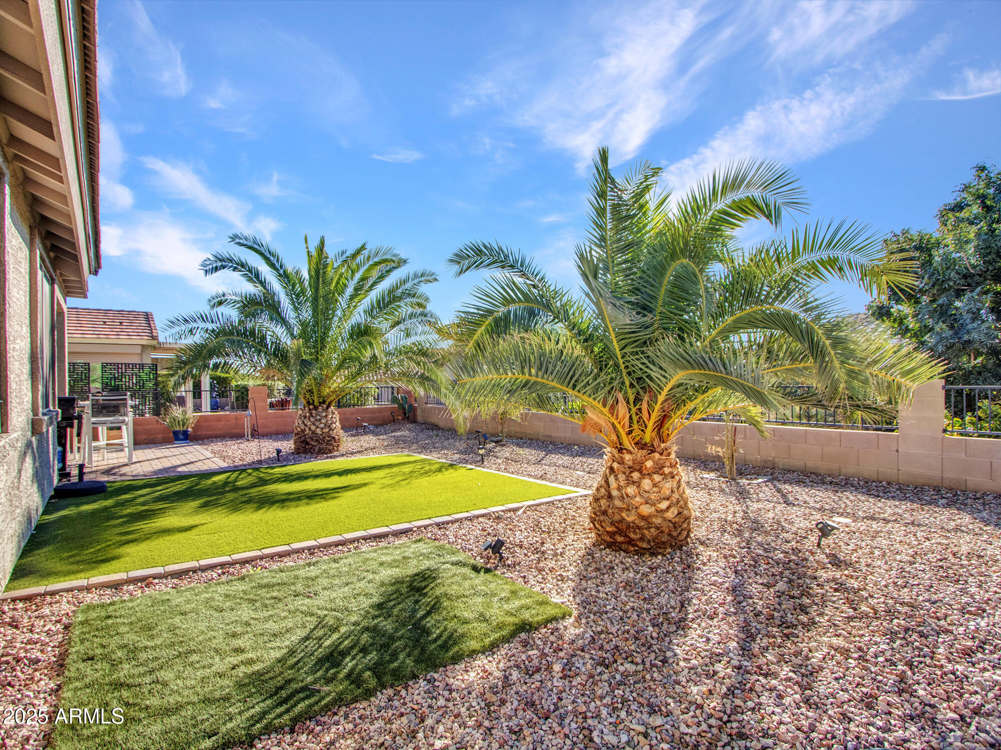 22585 West Moonlight Path Buckeye, AZ 85326 - Photo 23 of 35 a view of a backyard with plants and swimming pool