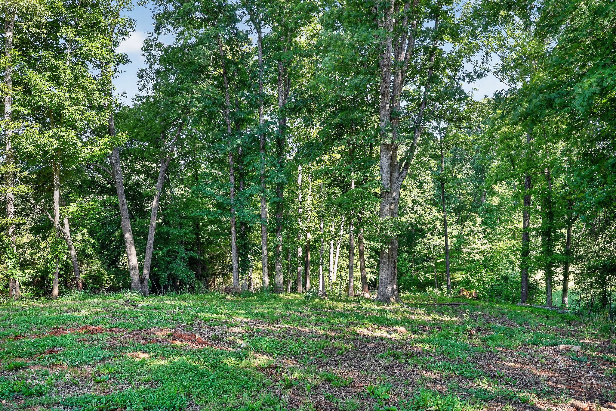1883 Browntown Road Sparta, TN 38583 - Photo 43 of 45