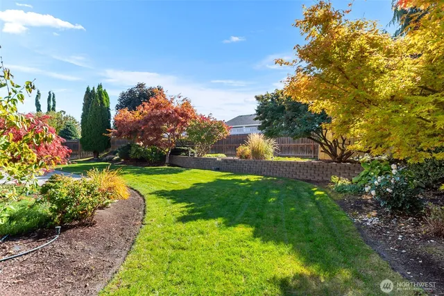 a view of backyard with swimming pool