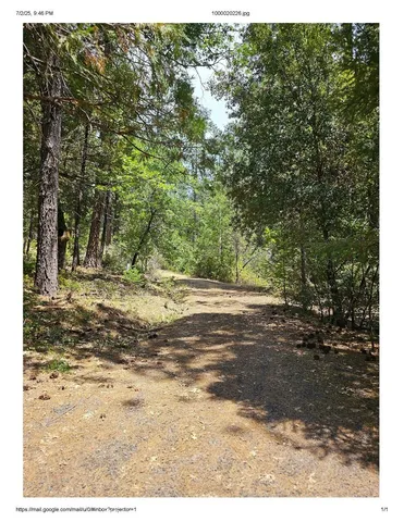 a view of outdoor space with trees