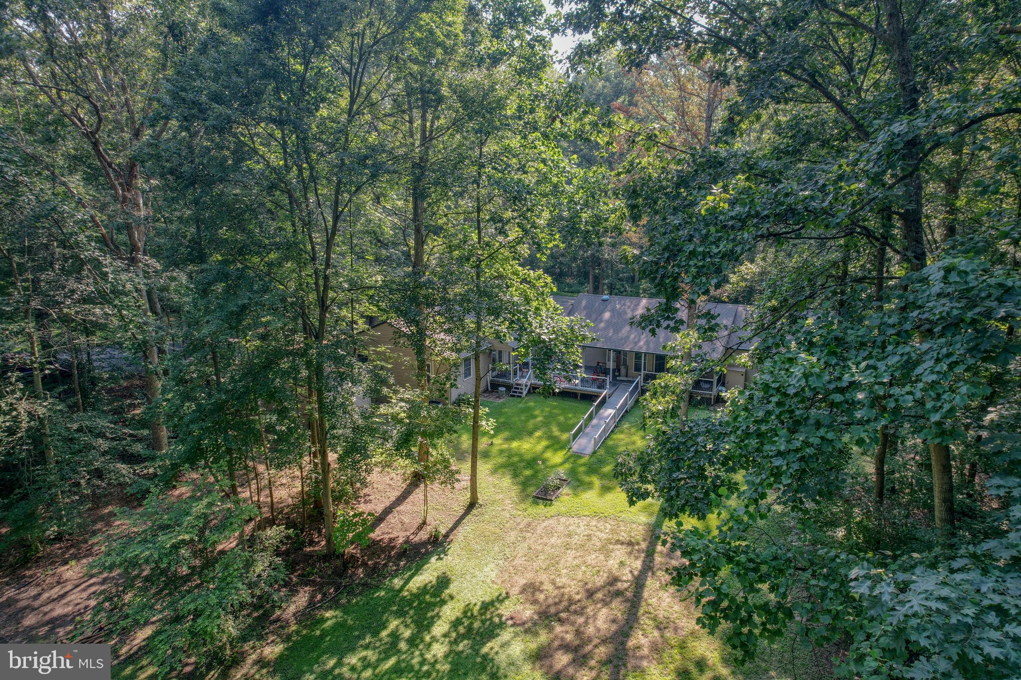 1332 Alley Mill Road Clayton, DE 19938 - Photo 7 of 50 a view of a yard with plants and large trees