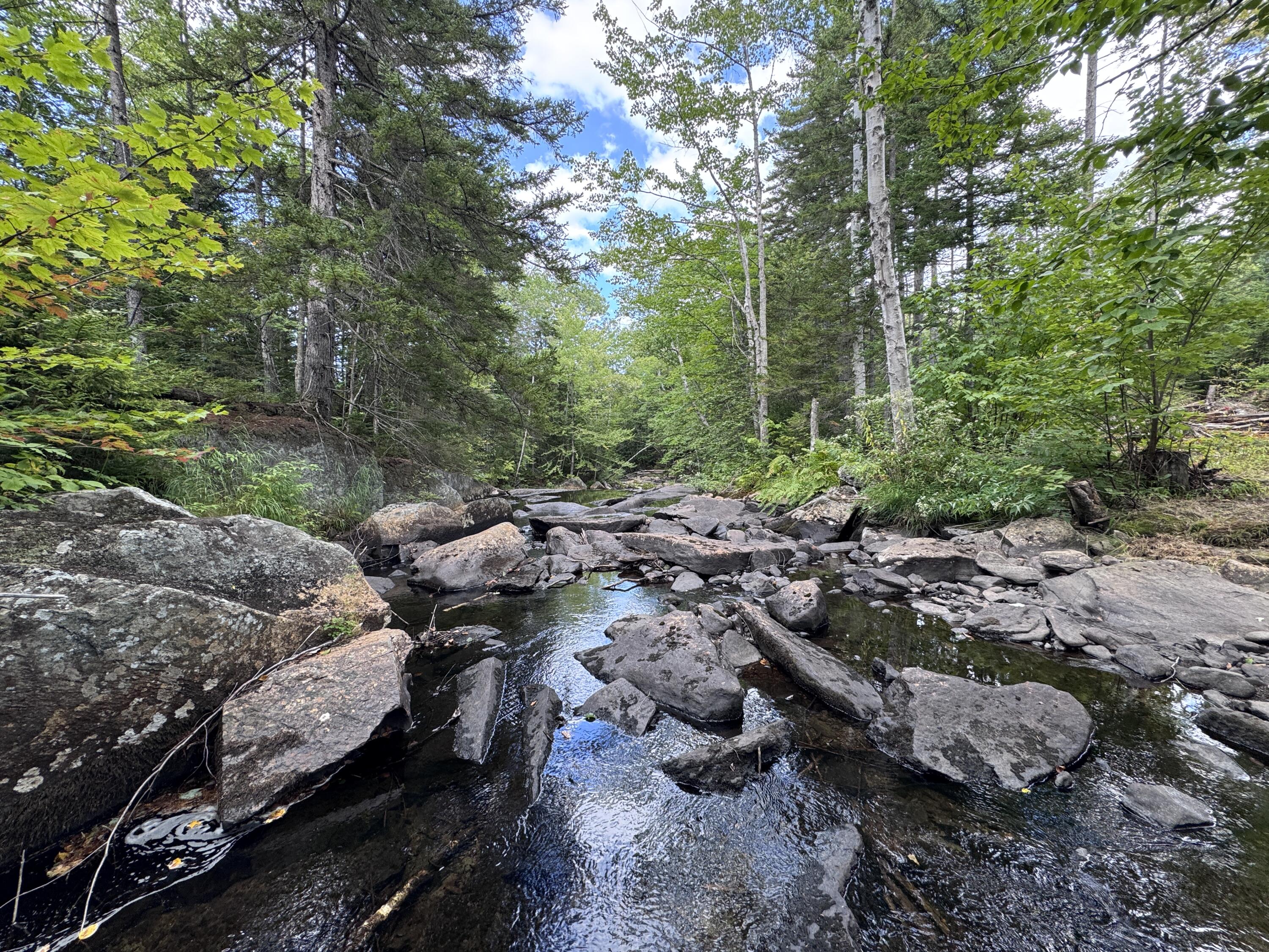 4 Map Sandy River Plt, ME 04970 - Photo 15 of 24 IMG_5317