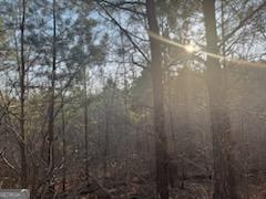 948 Smyrna Church Road Molena, GA 30258 - Photo 11 of 35 a view of a tree