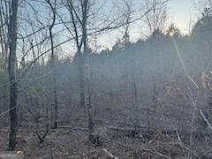 948 Smyrna Church Road Molena, GA 30258 - Photo 13 of 35 a view of a yard