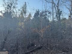 948 Smyrna Church Road Molena, GA 30258 - Photo 14 of 35 a view of forest