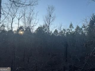 948 Smyrna Church Road Molena, GA 30258 - Photo 15 of 35