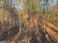 948 Smyrna Church Road Molena, GA 30258 - Photo 20 of 35 a view of a yard