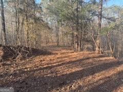 948 Smyrna Church Road Molena, GA 30258 - Photo 2 of 35 a view of backyard with large trees