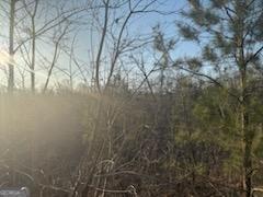 948 Smyrna Church Road Molena, GA 30258 - Photo 23 of 35 a view of forest
