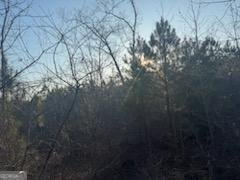 948 Smyrna Church Road Molena, GA 30258 - Photo 25 of 35 a view of forest
