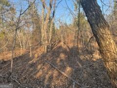 948 Smyrna Church Road Molena, GA 30258 - Photo 26 of 35