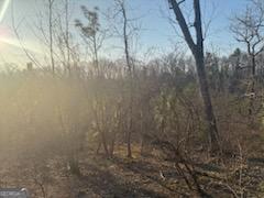 948 Smyrna Church Road Molena, GA 30258 - Photo 27 of 35