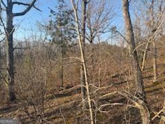 948 Smyrna Church Road Molena, GA 30258 - Photo 28 of 35 a view of a backyard of the house