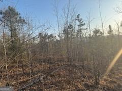 948 Smyrna Church Road Molena, GA 30258 - Photo 29 of 35 a view of a forest