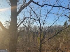 948 Smyrna Church Road Molena, GA 30258 - Photo 30 of 35 a backyard of a house with lots of green space