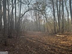 948 Smyrna Church Road Molena, GA 30258 - Photo 3 of 35 a view of backyard with green space