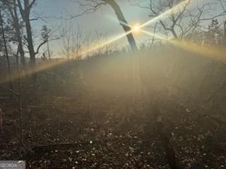 948 Smyrna Church Road Molena, GA 30258 - Photo 31 of 35 a view of a lake