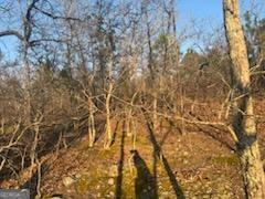 948 Smyrna Church Road Molena, GA 30258 - Photo 32 of 35 a view of a yard