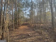 948 Smyrna Church Road Molena, GA 30258 - Photo 4 of 35 a view of a yard with trees