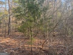 948 Smyrna Church Road Molena, GA 30258 - Photo 5 of 35