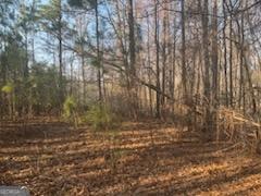 948 Smyrna Church Road Molena, GA 30258 - Photo 8 of 35 a view of backyard with green space