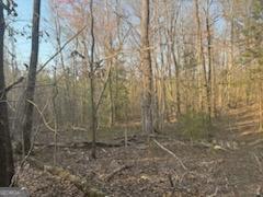 948 Smyrna Church Road Molena, GA 30258 - Photo 9 of 35 a view of a backyard