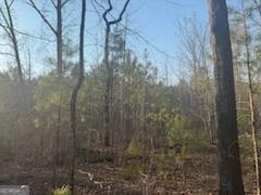 948 Smyrna Church Road Molena, GA 30258 - Photo 10 of 35 a bathroom with a shower