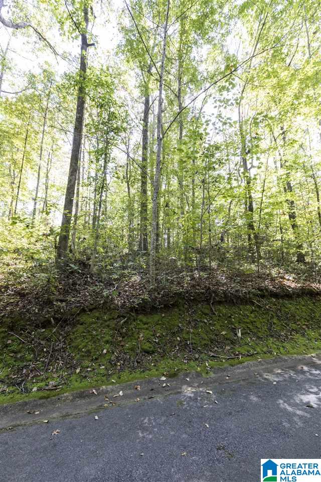 4 South Hollow Road, Unit 4 Hayden, AL 35079 - Photo 9 of 34