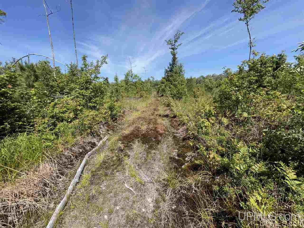 Tbd Off Cooks Lake Road, Unit 1 Wetmore, MI 49895 - Photo 13 of 19