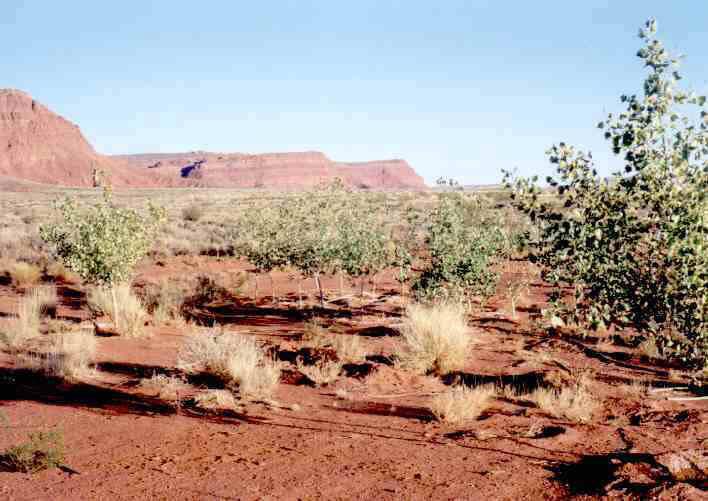 59.5-acres Warner Valley Road Washington, UT 84780 - Photo 1 of 1 Primary Photo