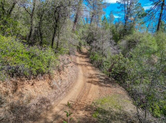 0 Quail Run Road Redding, CA 96003 - Photo 6 of 14 IMG_2874