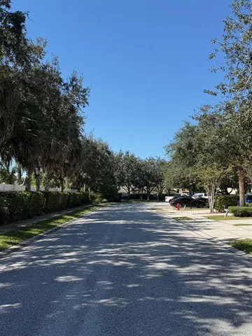 a view of a yard with large trees