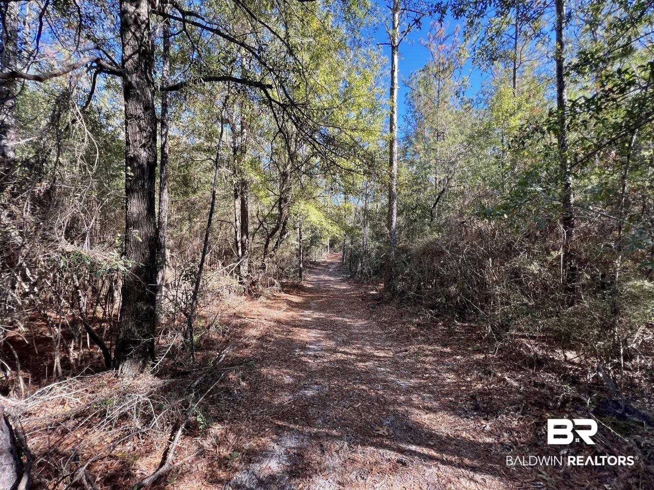 0 C C Road Chunchula, AL 36521 - Photo 19 of 27
