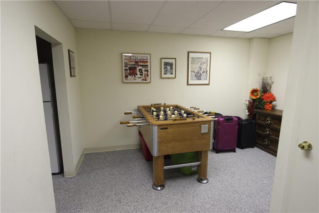 319 Springdale Road Venetia, PA 15367 - Photo 22 of 25