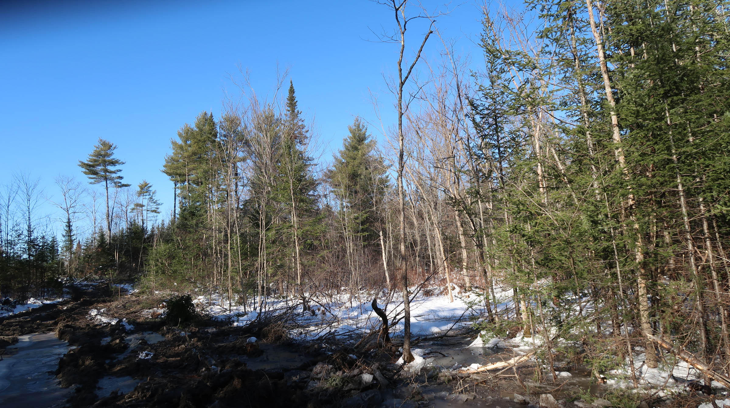 0 Parker Road Pittston, ME 04345 - Photo 5 of 11 IMG_0873