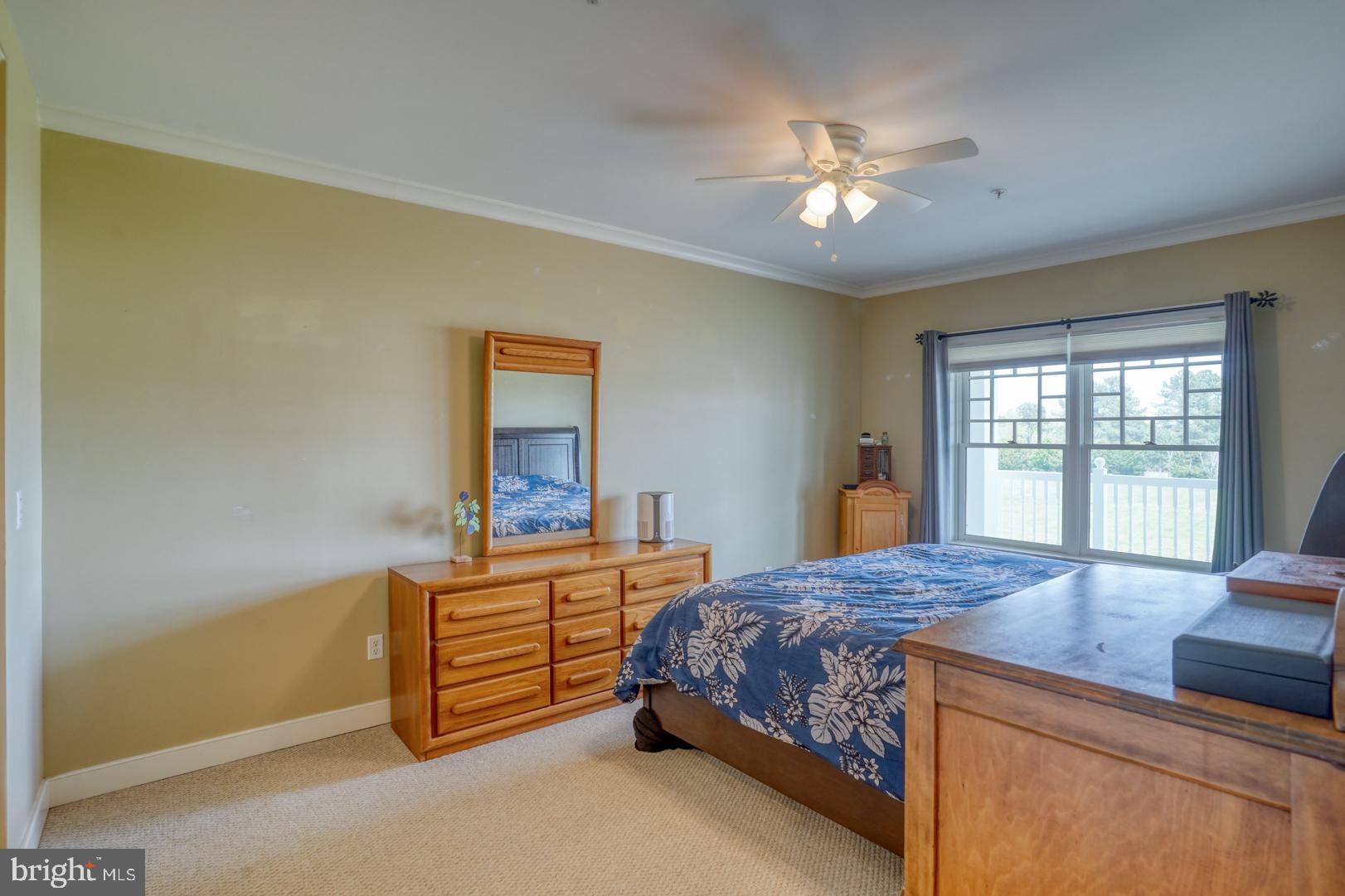 110 Anglers Road, Unit 204 Lewes, DE 19958 - Photo 15 of 32 Primary Bedroom