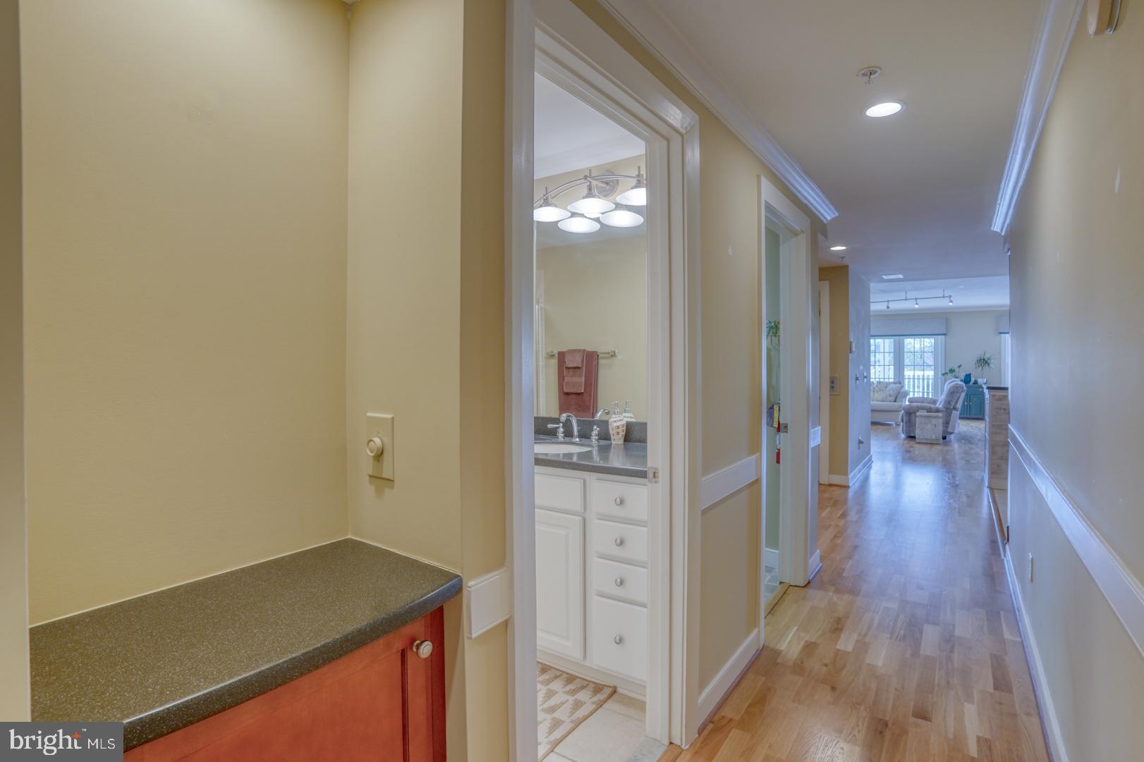 110 Anglers Road, Unit 204 Lewes, DE 19958 - Photo 10 of 32 Storage, bar or display