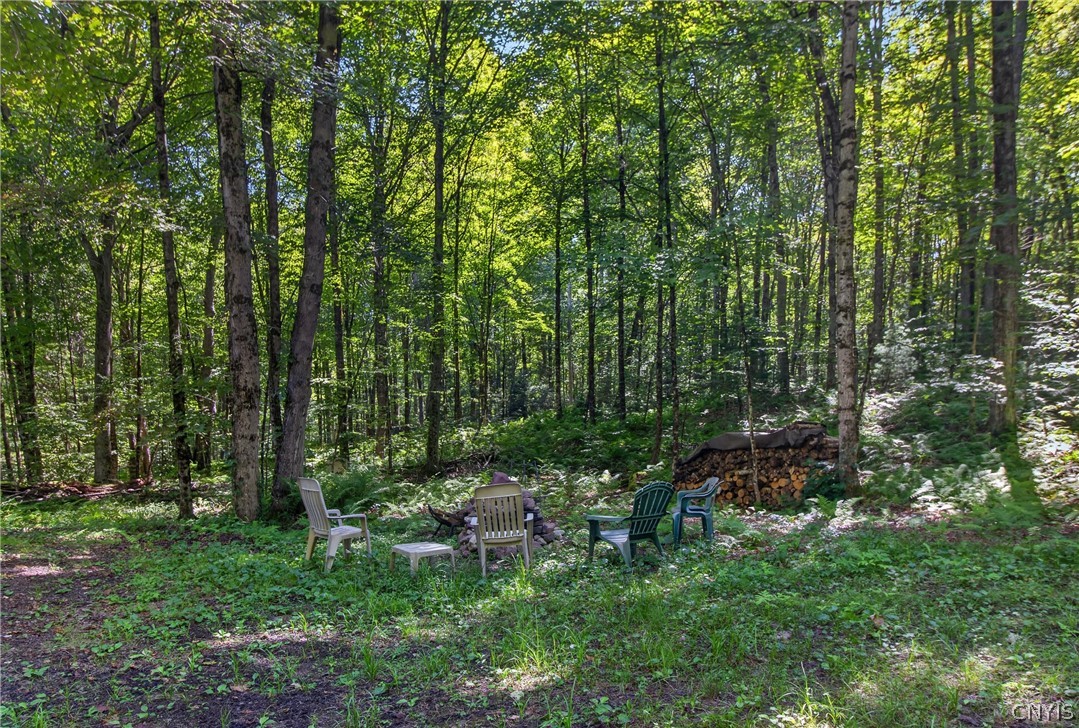 0 Fishermans Bridge Road Camden, NY 13316 - Photo 3 of 43 Gallery Image 3