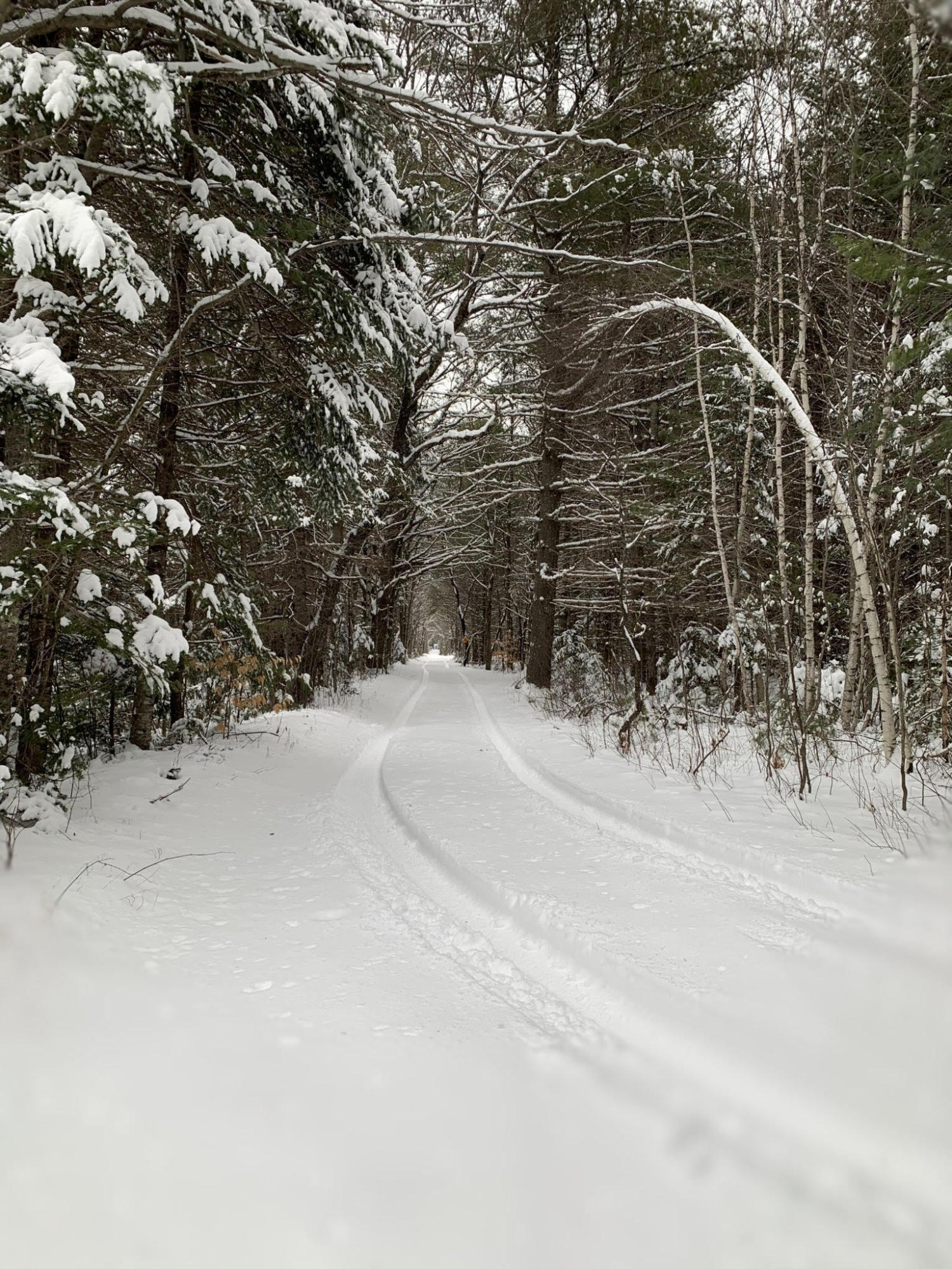 21 Meldrum Road Kingfield, ME 04947 - Photo 17 of 18 Trail Tote Road to Camp