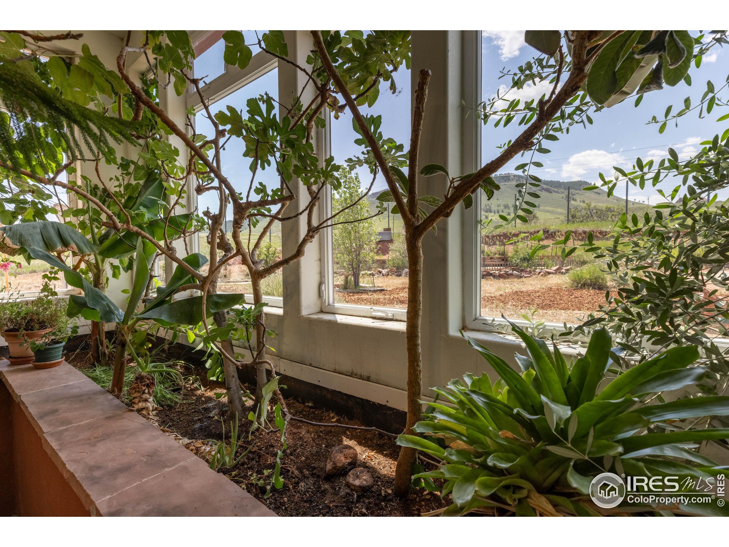 108 Lone Star Road Lyons, CO 80540 - Photo 6 of 38 a view of outdoor space and yard