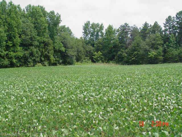 Other. Glen Oaks, Lot 26 Large lot (1.5 ac.) with 200 feet of frontage.