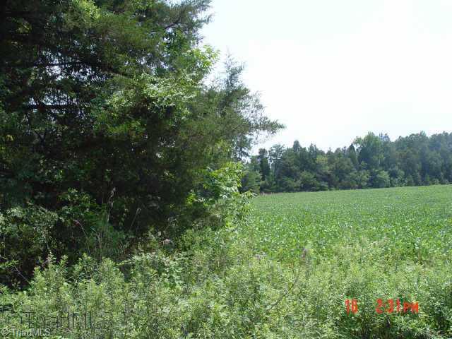 Other. Lot 26, Glen Oaks. 1.5 Ac with creek meandering eastern Property line