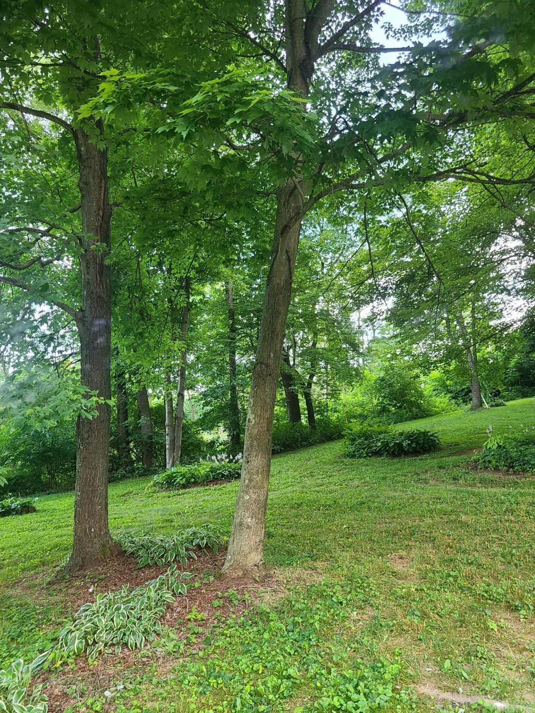 28721 Black Road Danville, OH 43014 - Photo 9 of 12