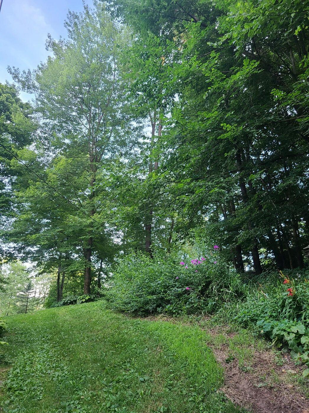 28721 Black Road Danville, OH 43014 - Photo 10 of 12